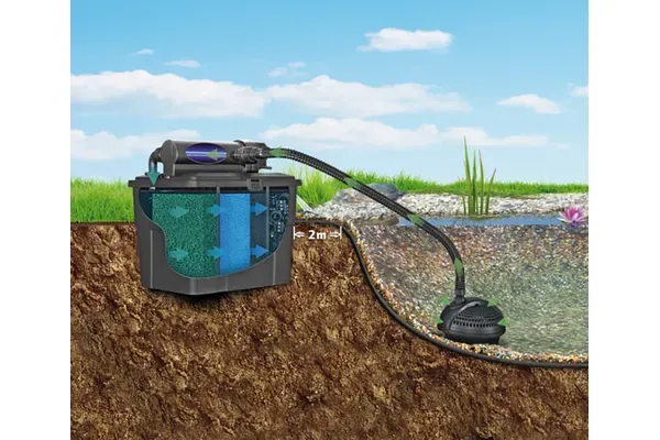 Jardines acuáticos – Cuidado del Estanque